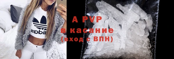прущие грибы Алексин