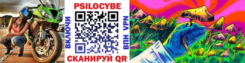 площадка телеграм  Артём  Галлюциногенные грибы Psilocybine cubensis 